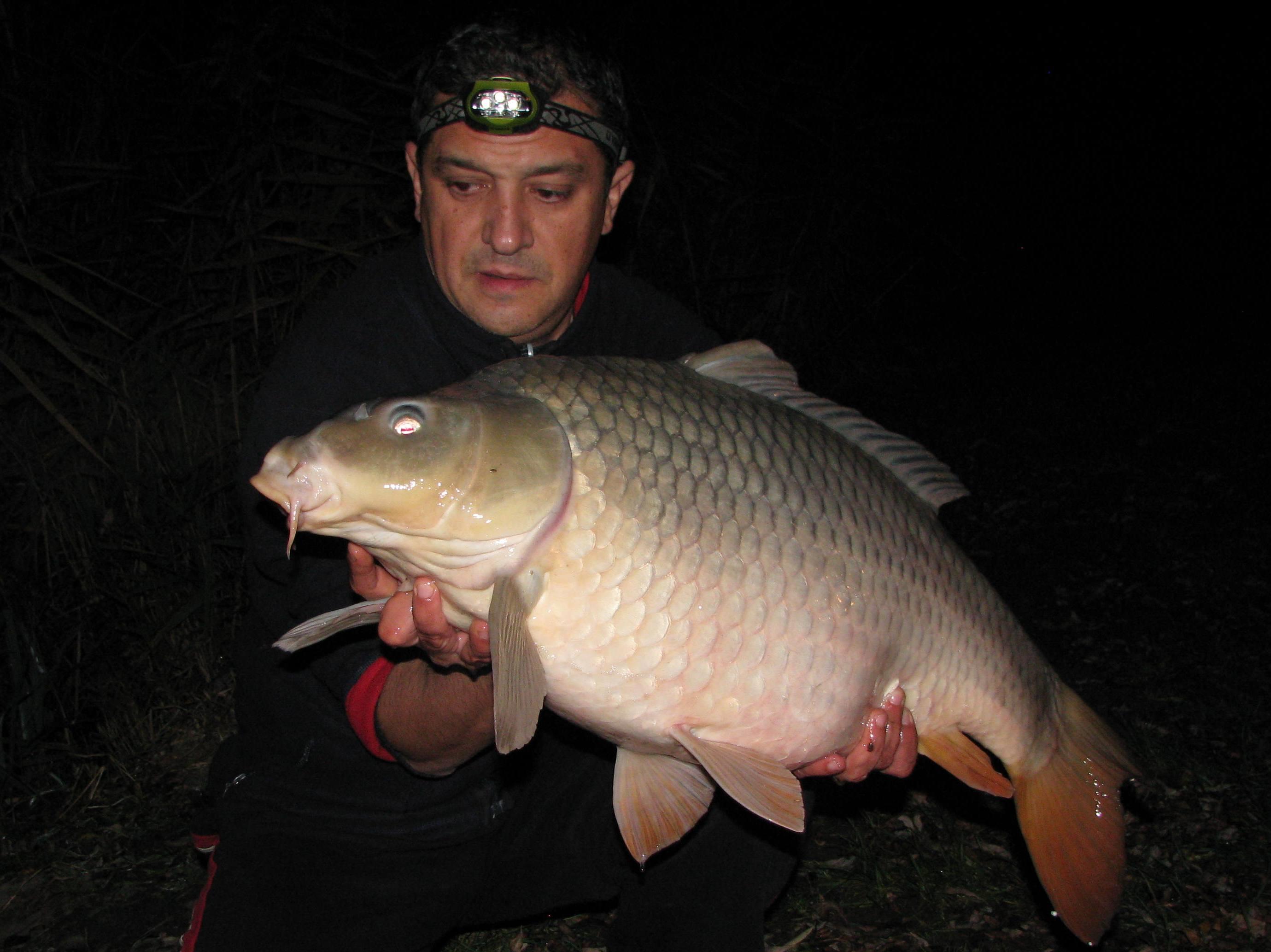 capturi - IMG_2757.JPG